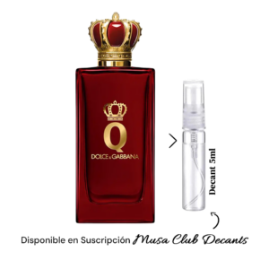 Dolce & Gabbana Q Parfum – Decant 5 ml